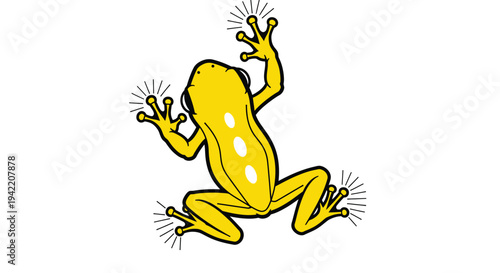 A bright yellow frog with white spots clings to a surface with its sticky toes.