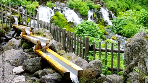 初夏の湧水　北海道京極町の羊蹄山の伏流水の湧き出し公園