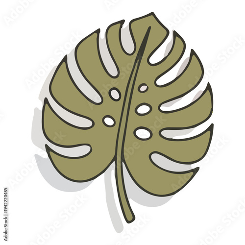 Monstera Leaf Illustration