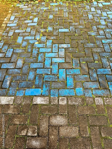 Weathered Blue Paving Blocks with Herringbone Pattern and Moss