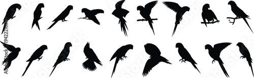 Collection of parrot silhouettes in different poses isolated on white background, flying perched and landing tropical bird vector style set