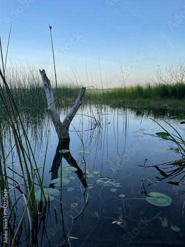 Waterlogged