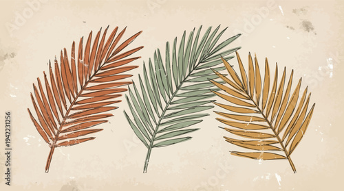 Three Colorful Palm Leaves Illustration.