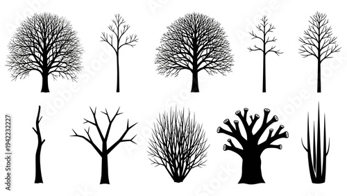 A comprehensive graphic collection featuring diverse silhouettes of leafless trees and shrubs, capturing their natural dormant forms for design and conceptual illustration projects