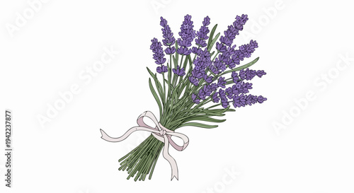 A bouquet of fresh lavender flowers tied with a ribbon.