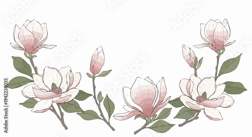 Delicate watercolor magnolia flower border illustration.