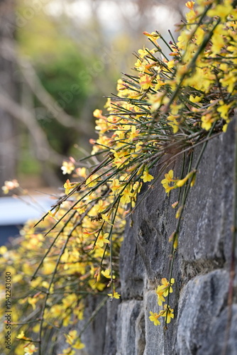 the end of winter, the beginning of spring