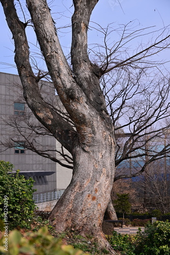 the end of winter, the beginning of spring