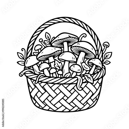 Hand Drawn Mushroom Basket Illustration with Wild Forest Mushrooms and Wicker Basket Line Art Coloring Page Style