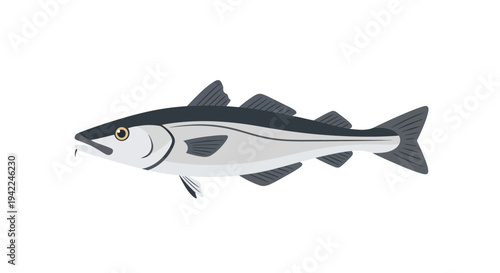 Salmon Fish Side View.