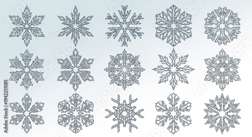 Collection of Various Snowflakes with Unique Patterns.