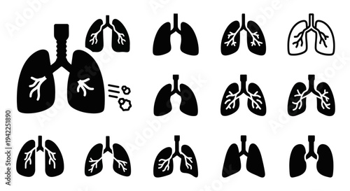 Set of various lung icons showcasing different styles and designs, illustrating medical and anatomical concepts