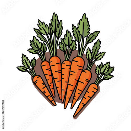 A vibrant illustration of a cluster of freshly harvested carrots with green leafy tops emerging from the soil.