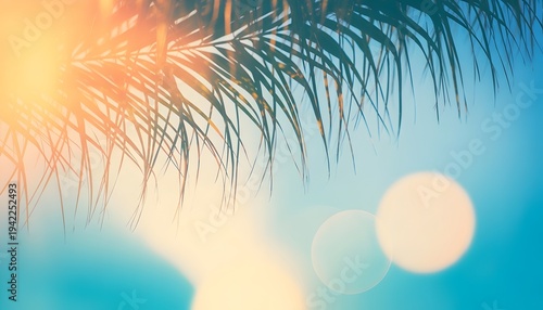 Palm leaves bokeh