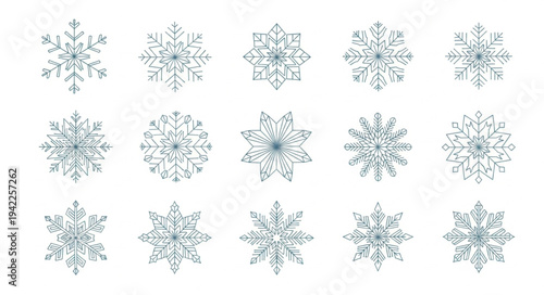 Set of Twelve Elegant Snowflake Designs for Winter Themes.