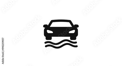 Car in the Water.