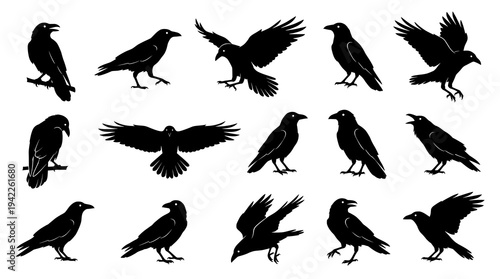 Various Raven and Crow Bird Silhouettes Set