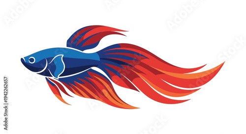 Colorful Betta Fish Illustration.