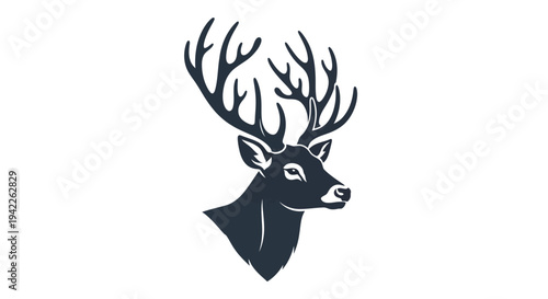 Deer Head Antlers Animal.