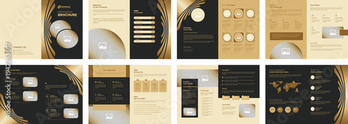 Luxury black and gold corporate brochure template with elegant design elements.