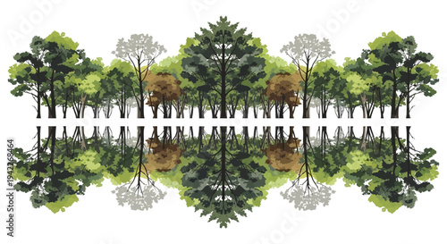 Vector illustration of a lush forest scene with diverse trees on a white background, celebrating the International Day of Forests with a global event design theme.