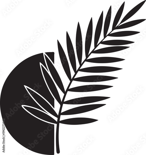 Tropical palm leaf frond abstract semicircle shape exotic botanical element nature design organic pattern decorative detail artistic composition minimalist silhouette