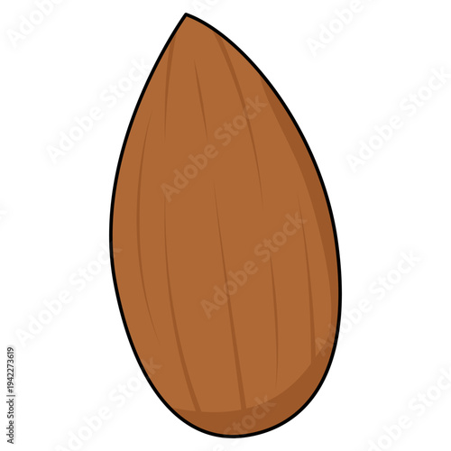 almond nut illustration