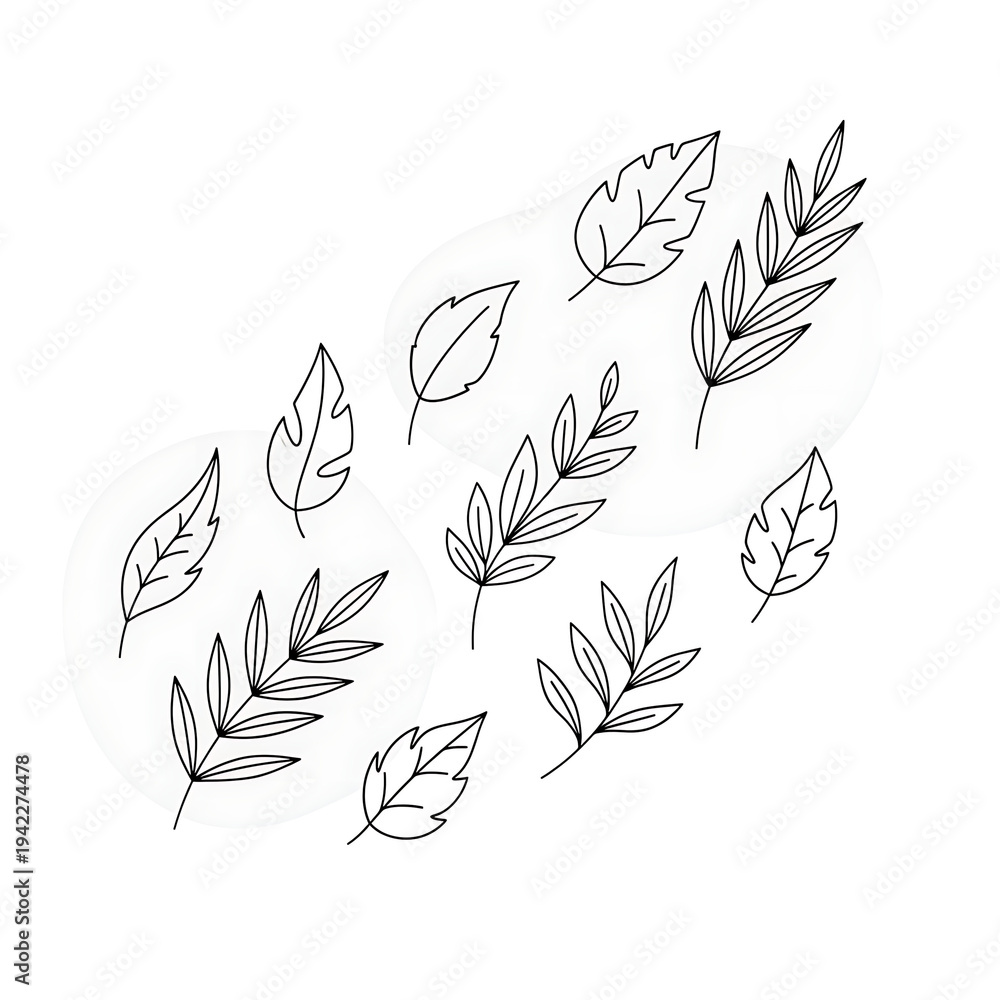 Fototapeta premium Collection of HandDrawn Leaf Illustrations for Design 1.