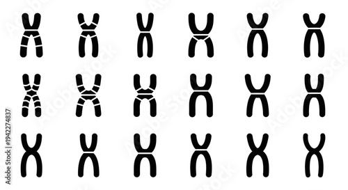 Chromosomes arranged in a grid, showcasing various stages of cell division, depicted in a simple illustration format from a scientific viewpoint