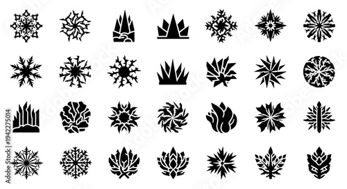 Collection of various black floral designs and patterns on a clean background