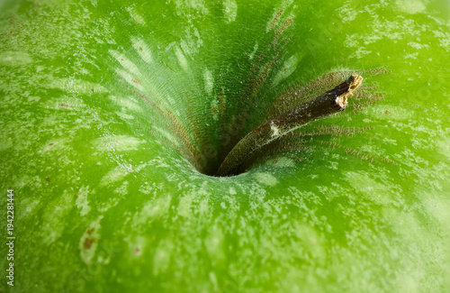 Fotografia Macro Detail of Green Apple Stem and Skin