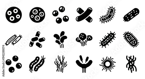 Various microorganisms and cells illustrated in black on a clean background from a scientific viewpoint