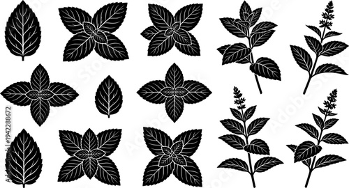 Mint leaf cartoon vector set illustration of icon.
