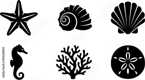 Vintage Marine Sketches Vector Set: Engraved Seashells, Starfish, Seahorse, Coral, Sand Dollar, and Ocean Creatures. Retro Nautical & Underwater Illustration.