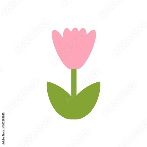 Pink Tulip Graphic for Botanical and Floral Decoration