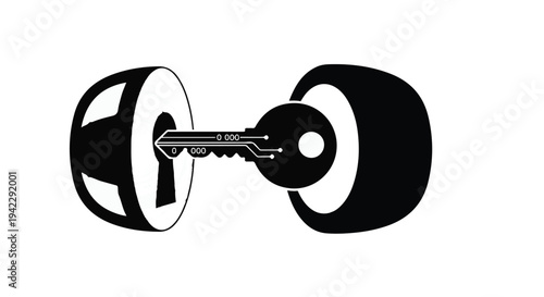 Key entering a lock mechanism symbolizing access and security solutions