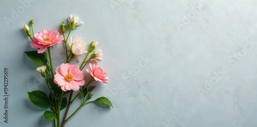 Delicate pink and white blossoms arranged on a soft textured backdrop creating an elegant and serene floral composition