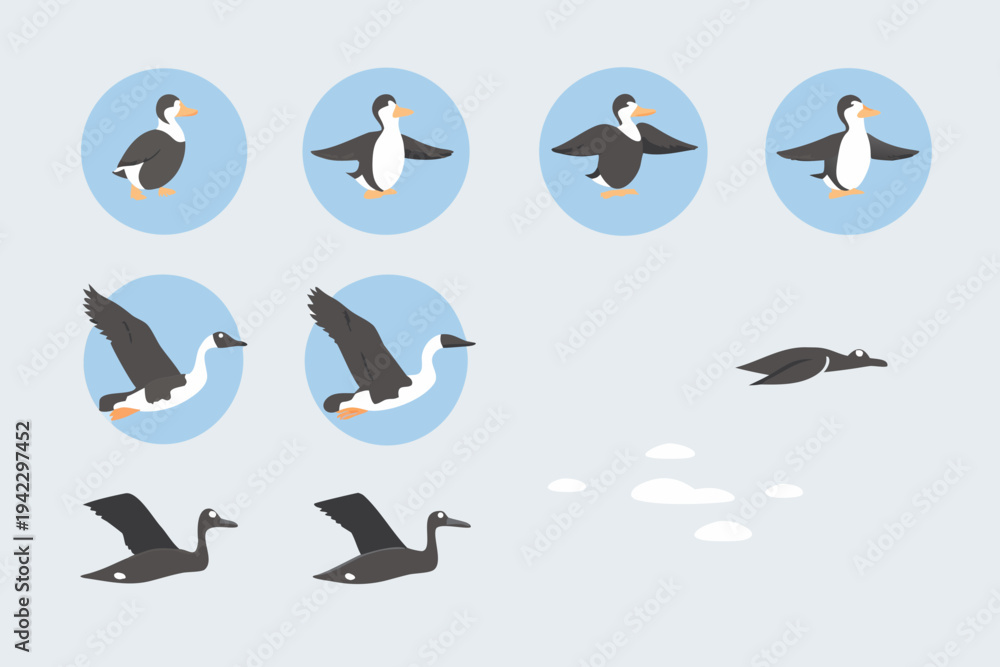 Obraz premium Stylized puffin illustrations depicting flight and swimming motions in sequence