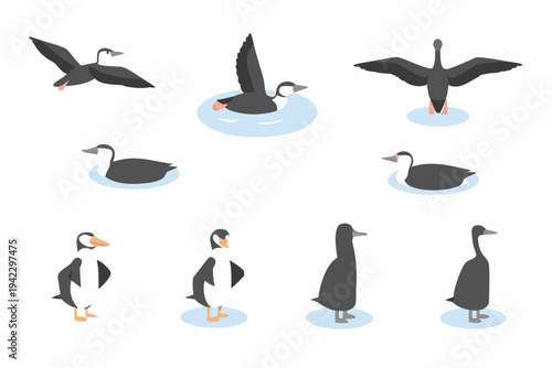 Stylized illustrations of various ducks in different poses and perspectives