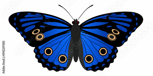 A vibrant blue butterfly with detailed wing patterns is displayed
