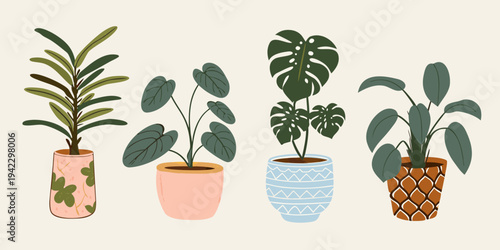 Four potted houseplants in a colorful illustrated botanical style