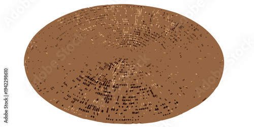 A circular textured brown surface resembling a woven or thatched material