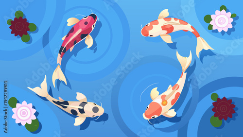 Colorful koi fish swim amongst water lilies in a serene pond