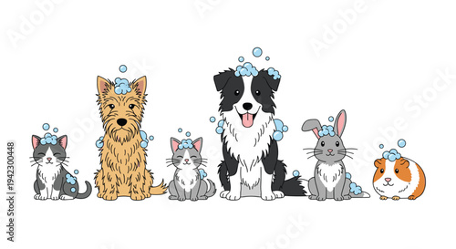 A diverse group of six cartoon pets, including cats, dogs, a rabbit, and a guinea pig, are cheerfully sitting in a neat row with soap bubbles on their heads.