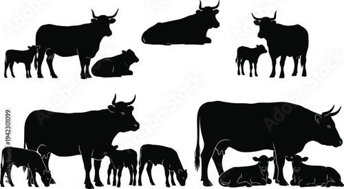 Vector silhouettes of cows and calves set isolated on white background featuring cattle farming livestock bull heifer and farm animal silhouettes