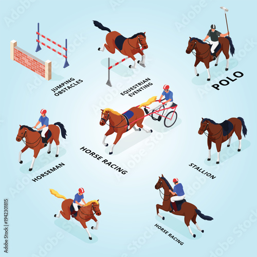 Equestrian sport athlete stirrup thoroughbred element outdoors horsemanship character movement equitation