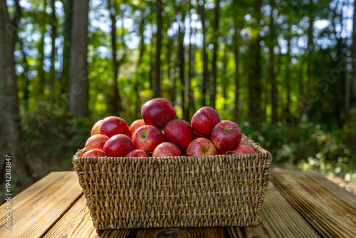 Fresh apples in basket on wooden table. Organic apples harvested from farm. Organic apple.