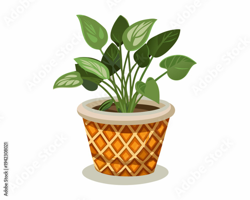 A vibrant peace lily plant flourishes in a patterned ceramic pot