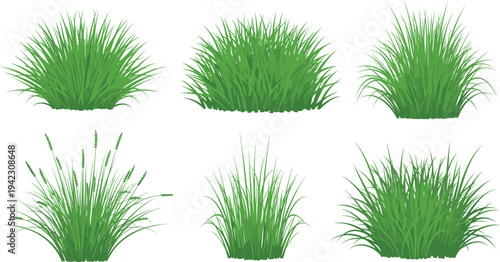 Black and white illustration of six different grass clumps arranged in grid, symbolizing nature, landscaping, botanical elements, garden design, and creative artwork projects