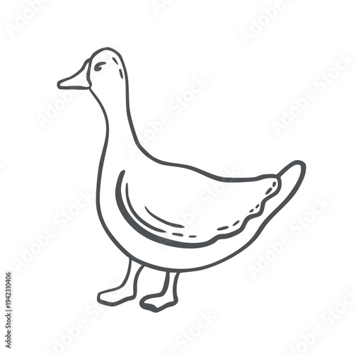 Goose vector graphic illustration for design of farming and zoological themes. Whimsical hand drawn isolated poultry. Black and white doodle of waterfowl bird for organic products packaging, stickers.